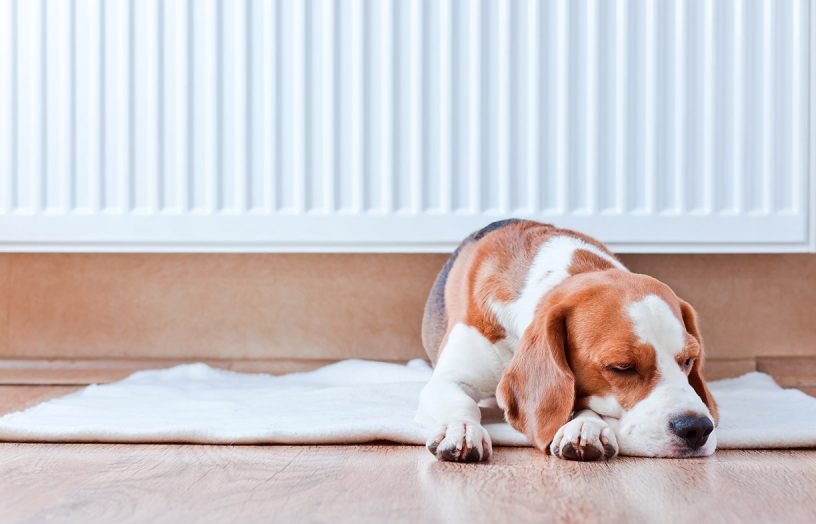 Beat the winter chills: A guide to electric heating options