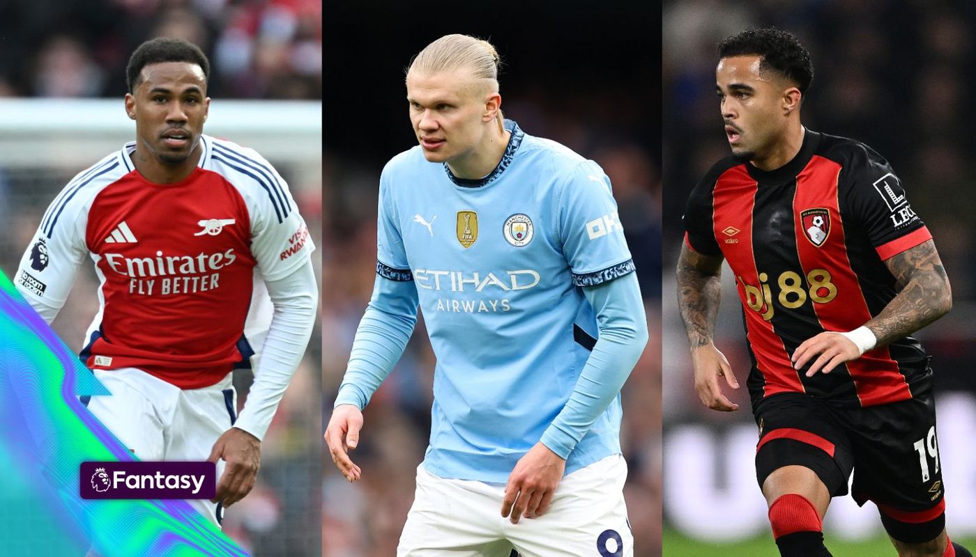 FPL composite