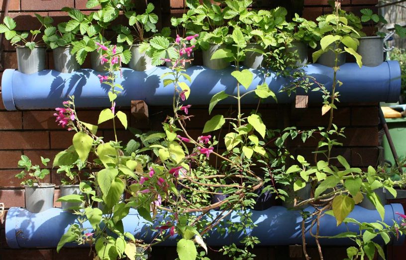 DIY: Self-watering vertical garden