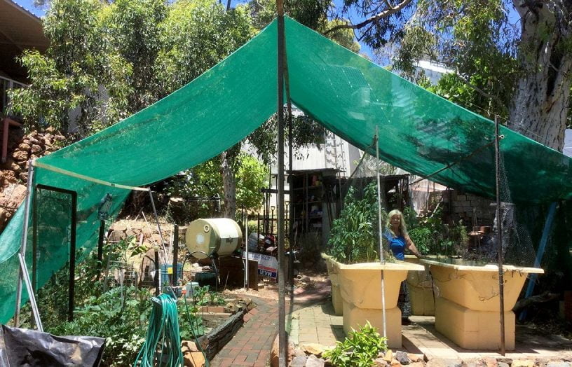 DIY: All-season vegie shade tent