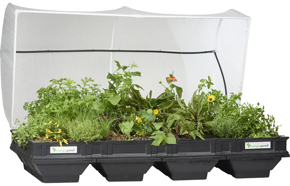 Product profile: Pods for veggies